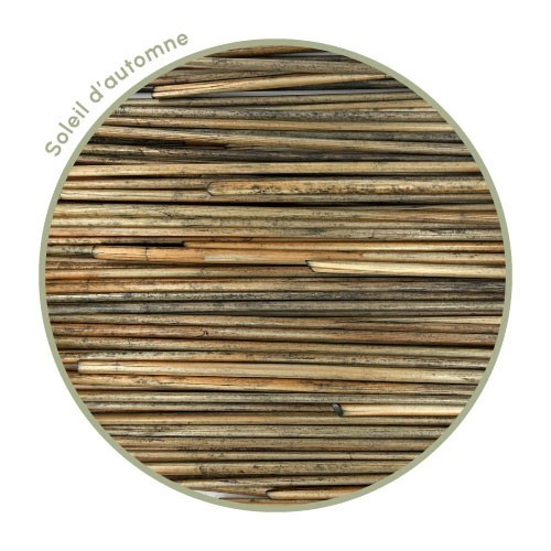 Autumn Sun Rye Straw