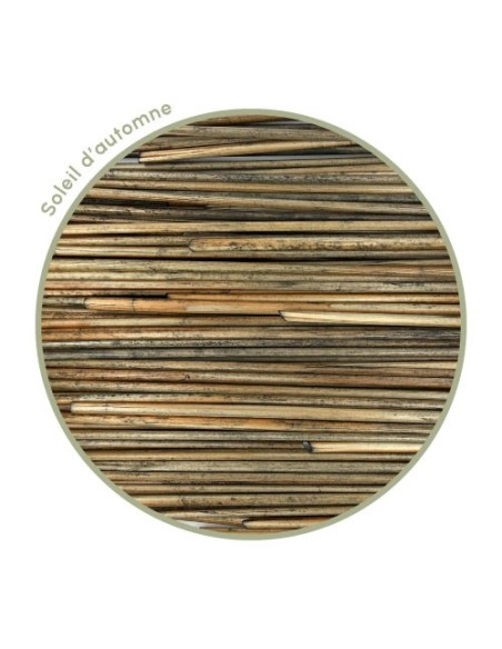 Autumn Sun Rye Straw