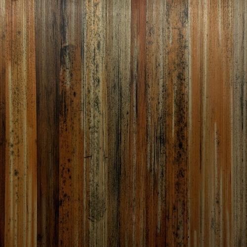 Paille de seigle soleil d'automne