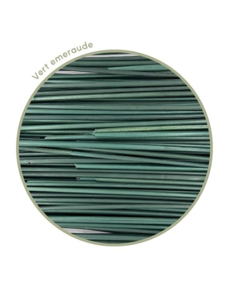 Zoom paille de seigle emeraude