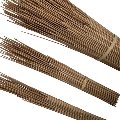Ancient Wheat" Rye Straw for Straw Marquetry | Premium Craft