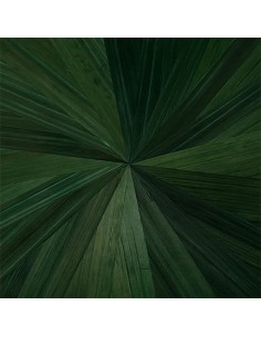 Paille de seigle vert