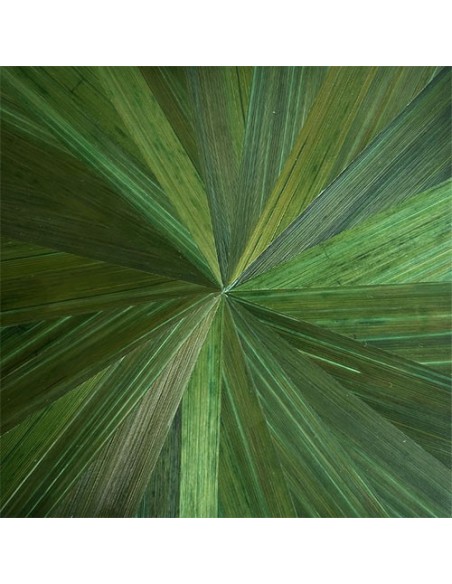 Paille de seigle vert bambou