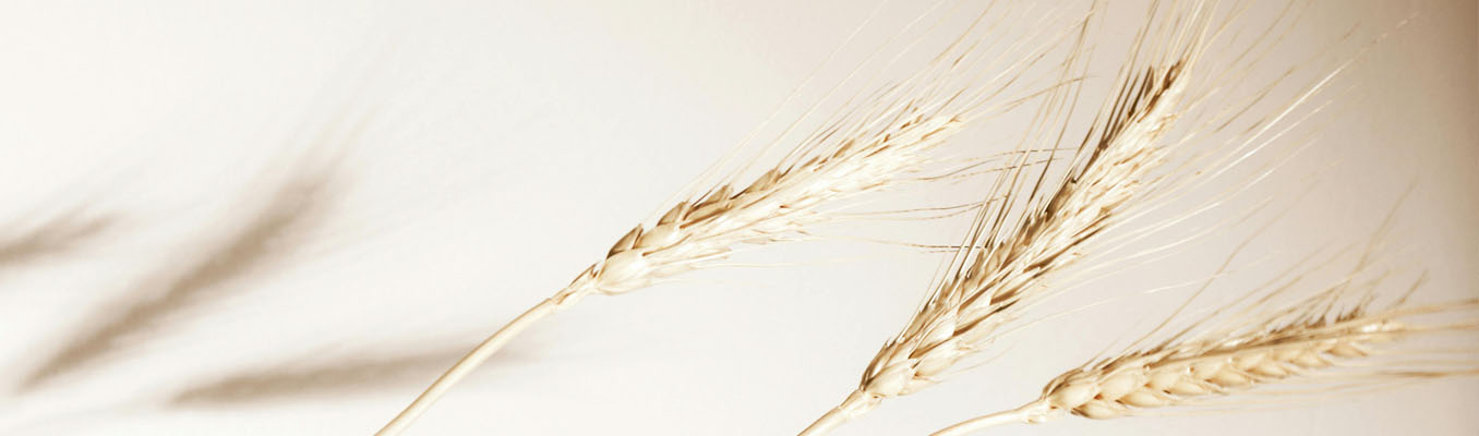 zoom paille de seigle