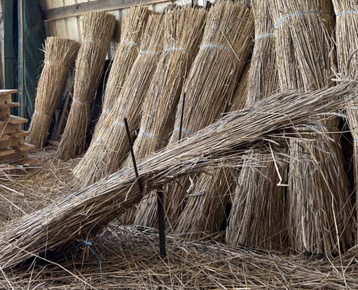 Paille de seigle