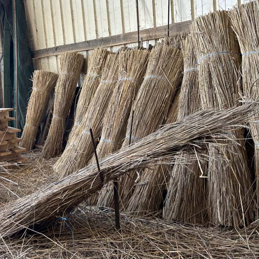 paille de seigle